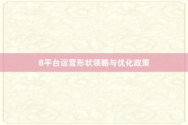 B平台运营形状领略与优化政策