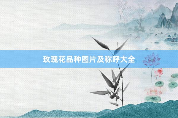 玫瑰花品种图片及称呼大全