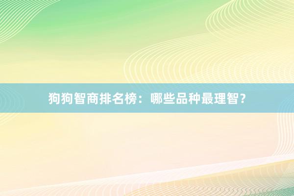 狗狗智商排名榜:哪些品种最理智?