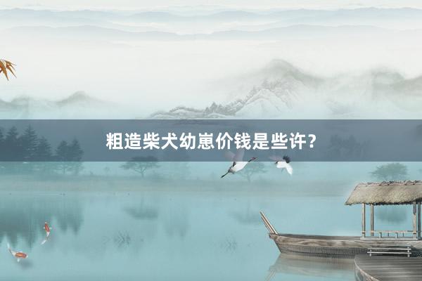 粗造柴犬幼崽价钱是些许？