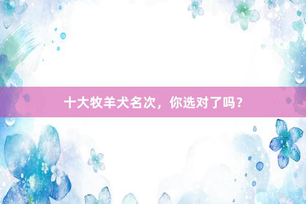十大牧羊犬名次，你选对了吗？